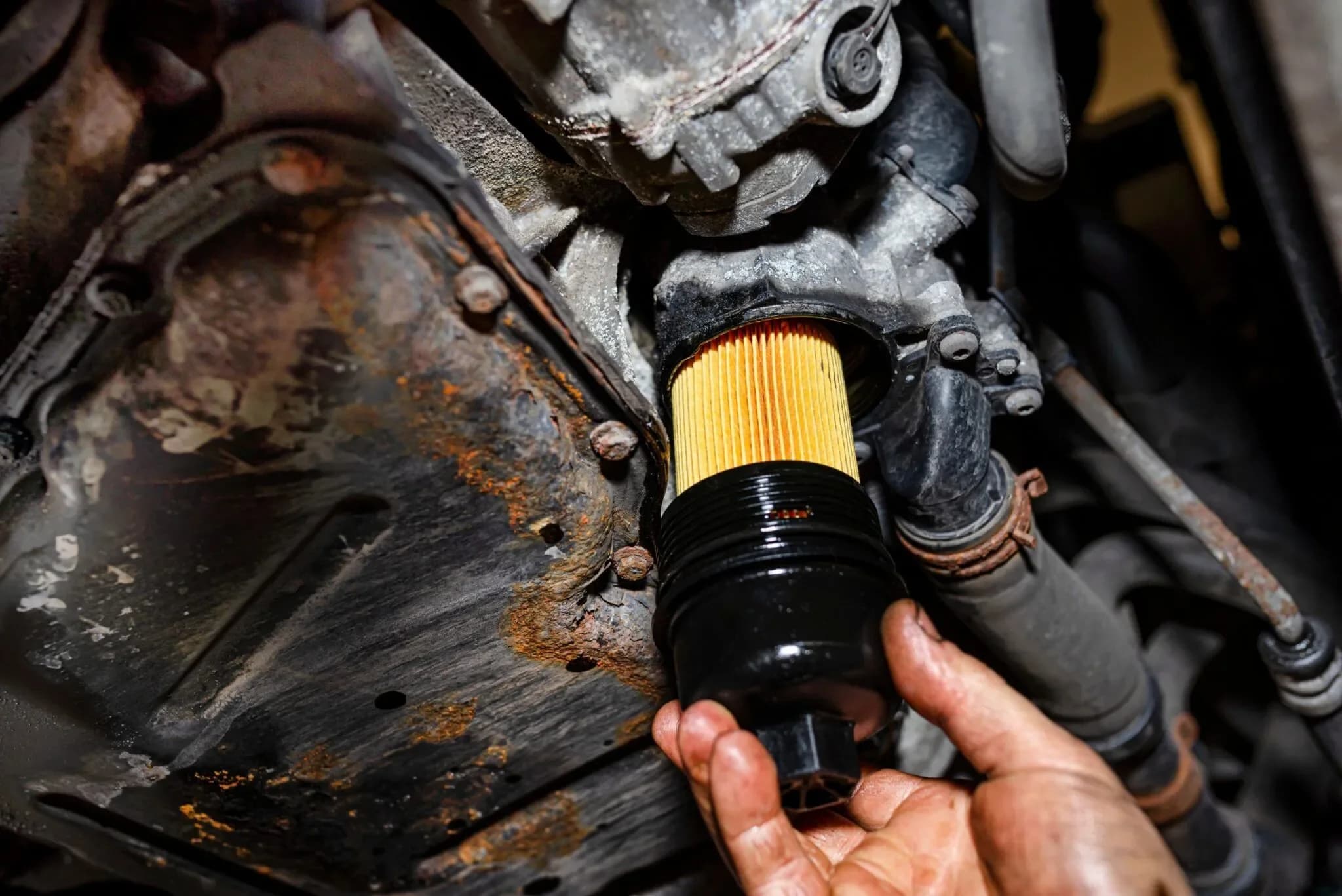 Oil Filter Replacement
